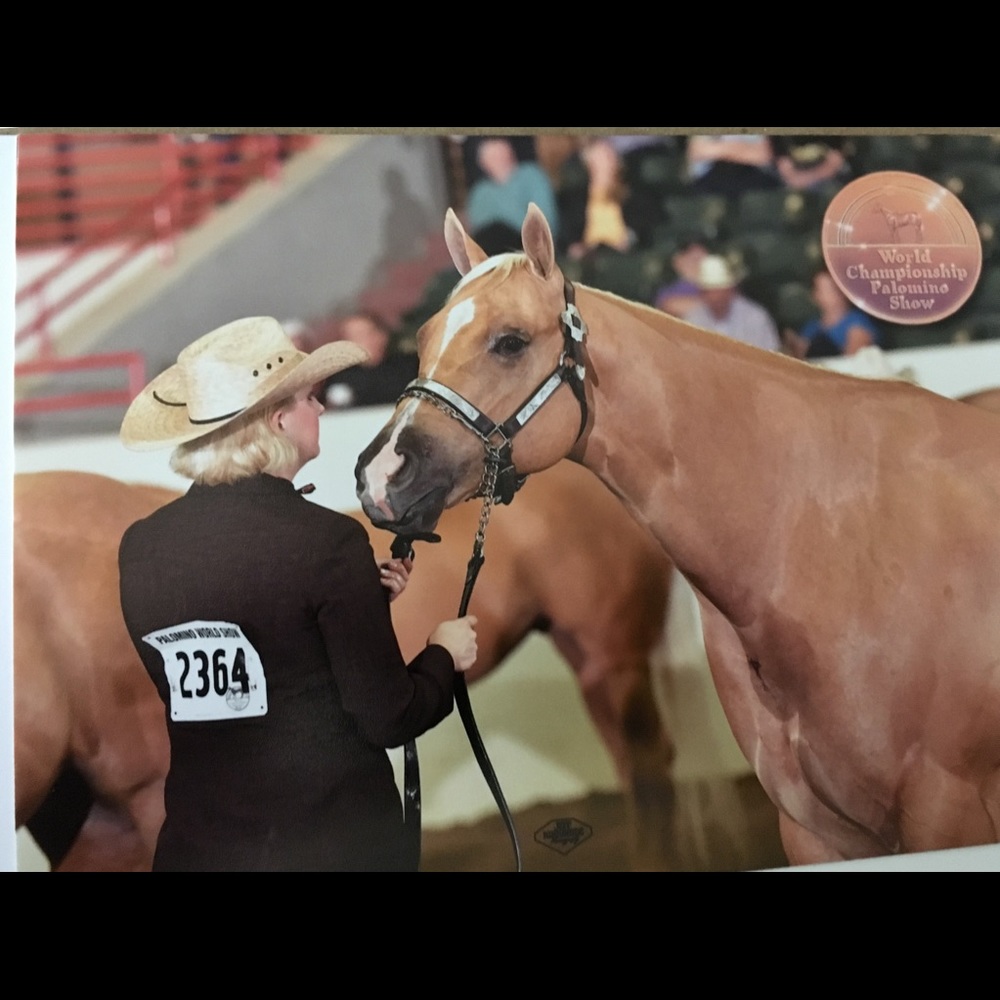 Meet your Posher, Michelle